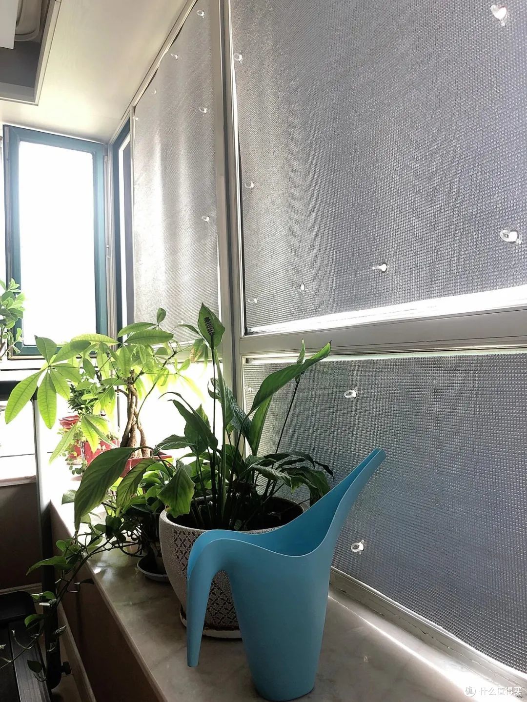 被年轻人的夏日“降温大法”惊到了！换个思路后，我一点都不热
