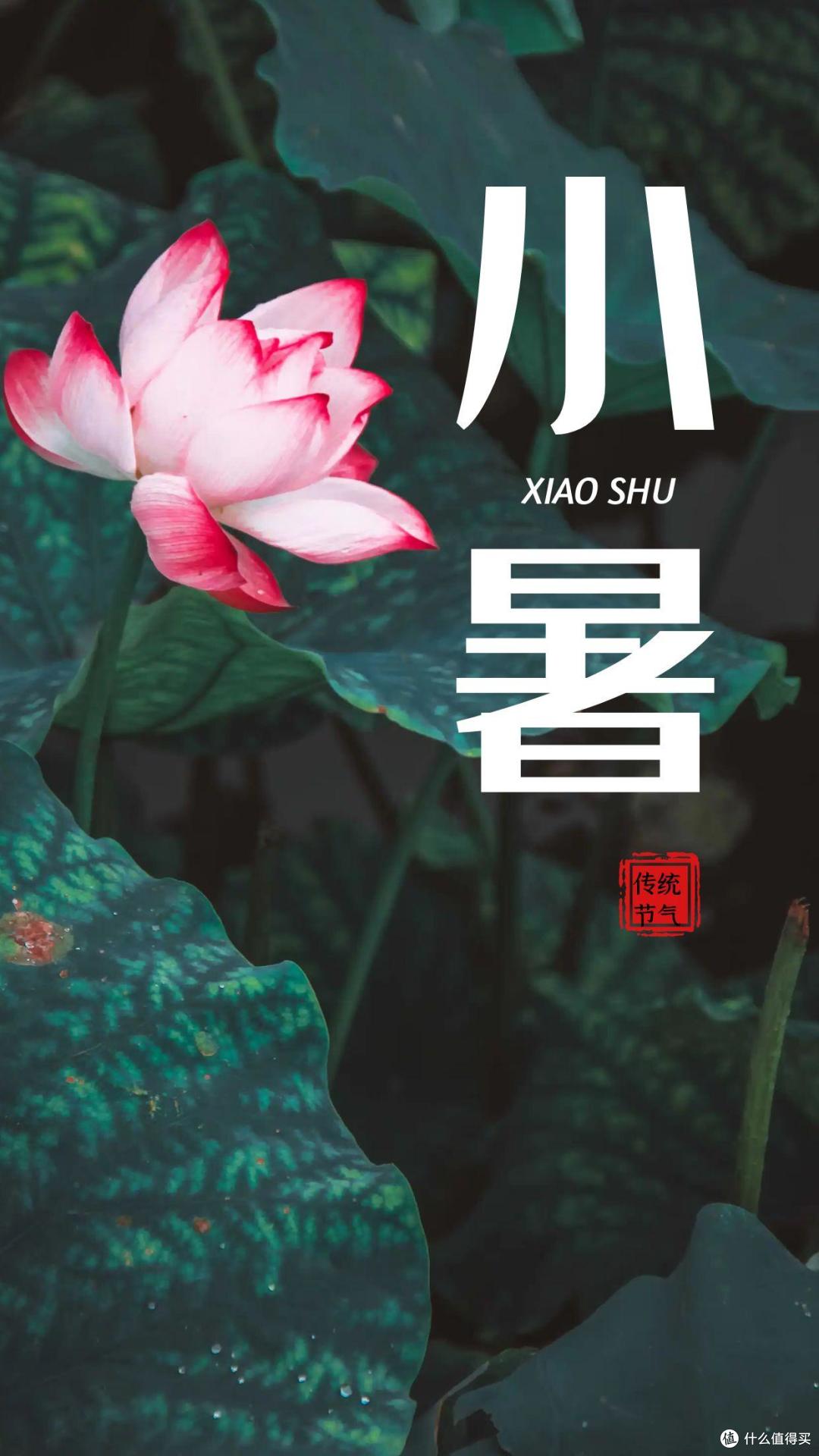 7月7日小暑,小暑前后,有5样“消暑菜”记得多吃,精神旺疲惫少