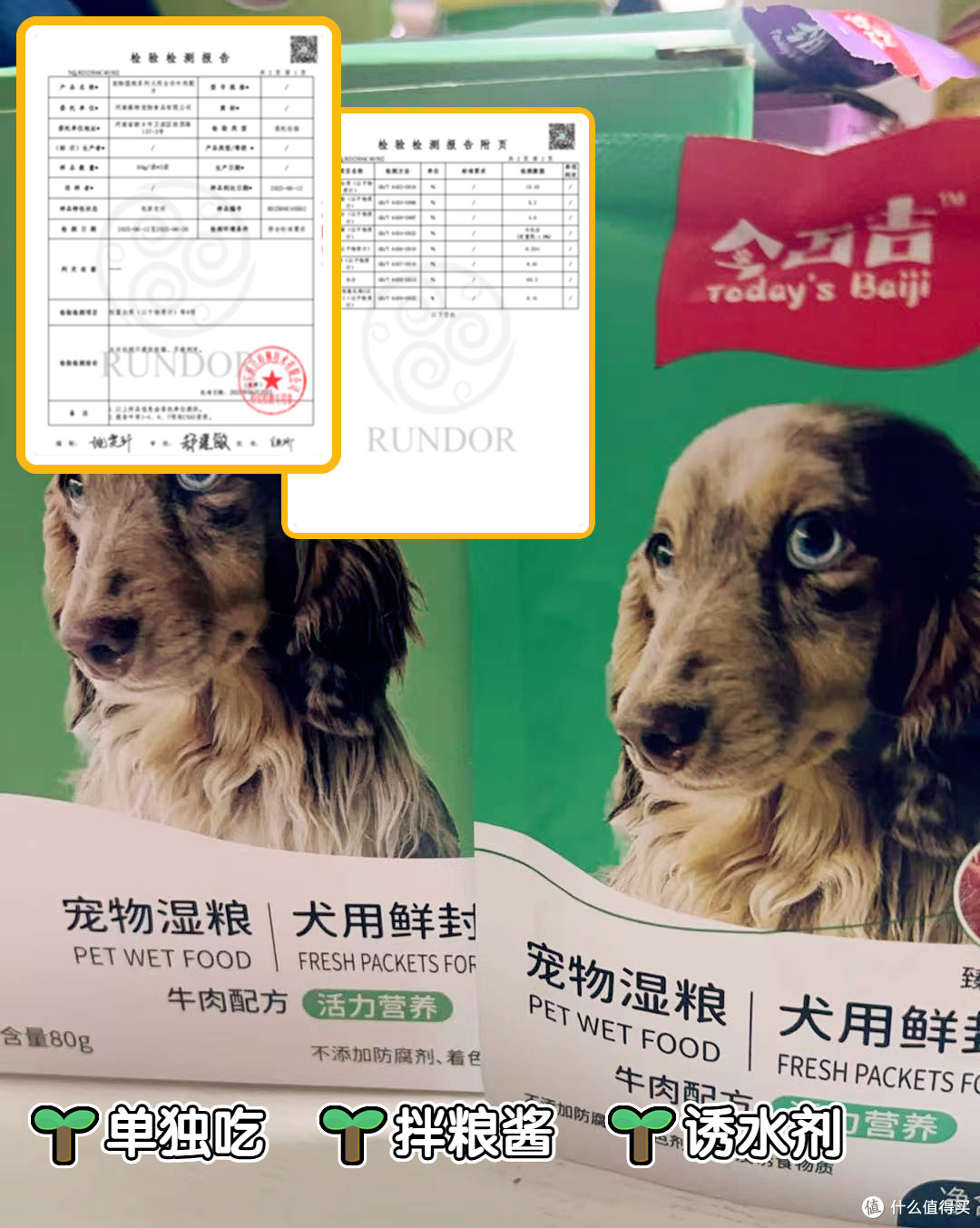 夏日高温预警!这狗粮专治不吃不喝!