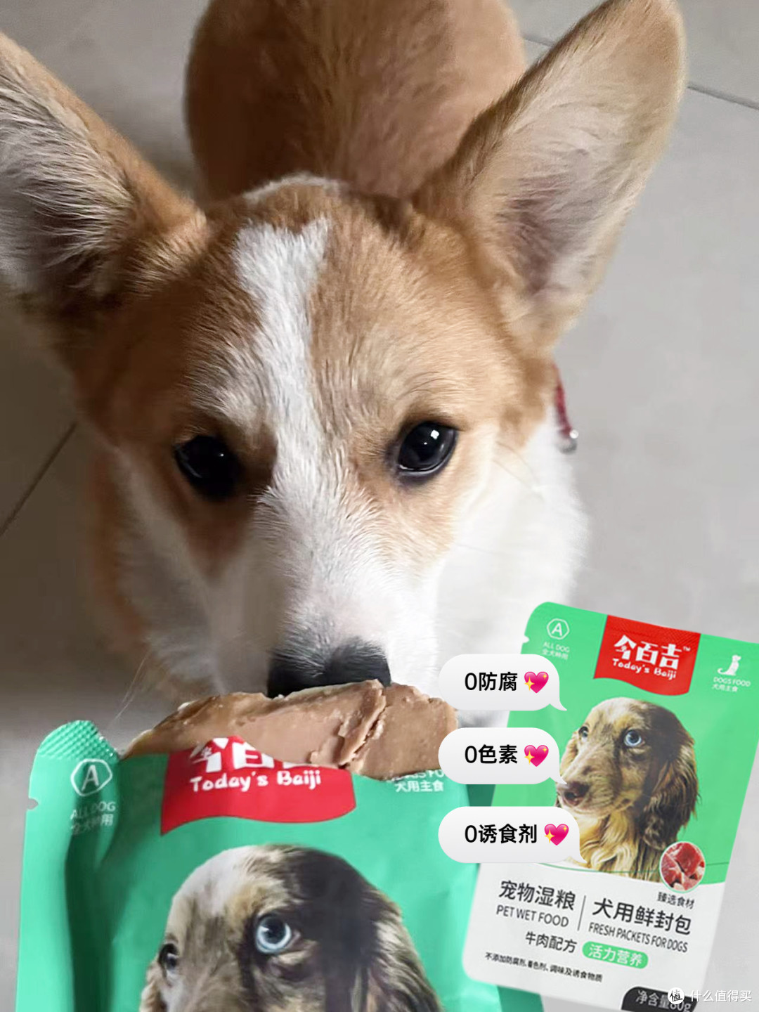 夏日高温预警!这狗粮专治不吃不喝!