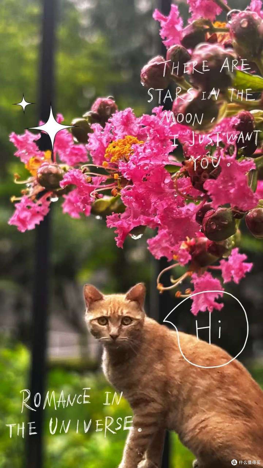 是不是不应该把友谊看得太重要了?