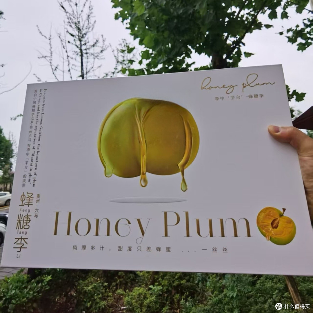 最近喜欢上吃一种李子—贵州六马蜂糖李