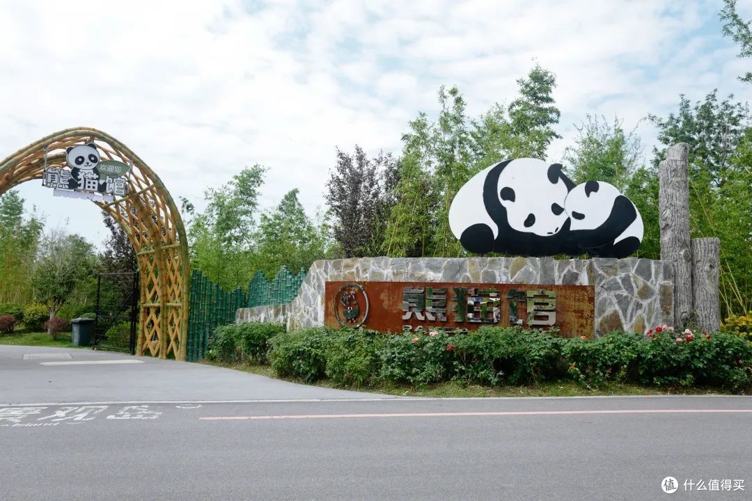 包邮区这座小县城真安逸!包场看大熊猫,百年早茶老店,越挖越有