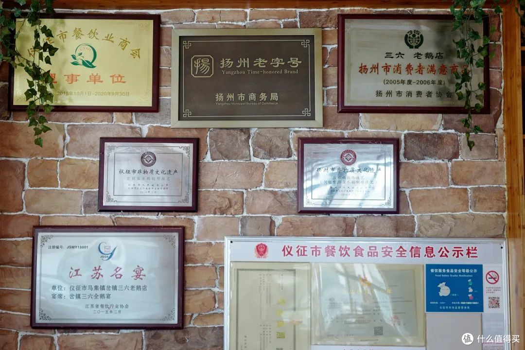 包邮区这座小县城真安逸!包场看大熊猫,百年早茶老店,越挖越有