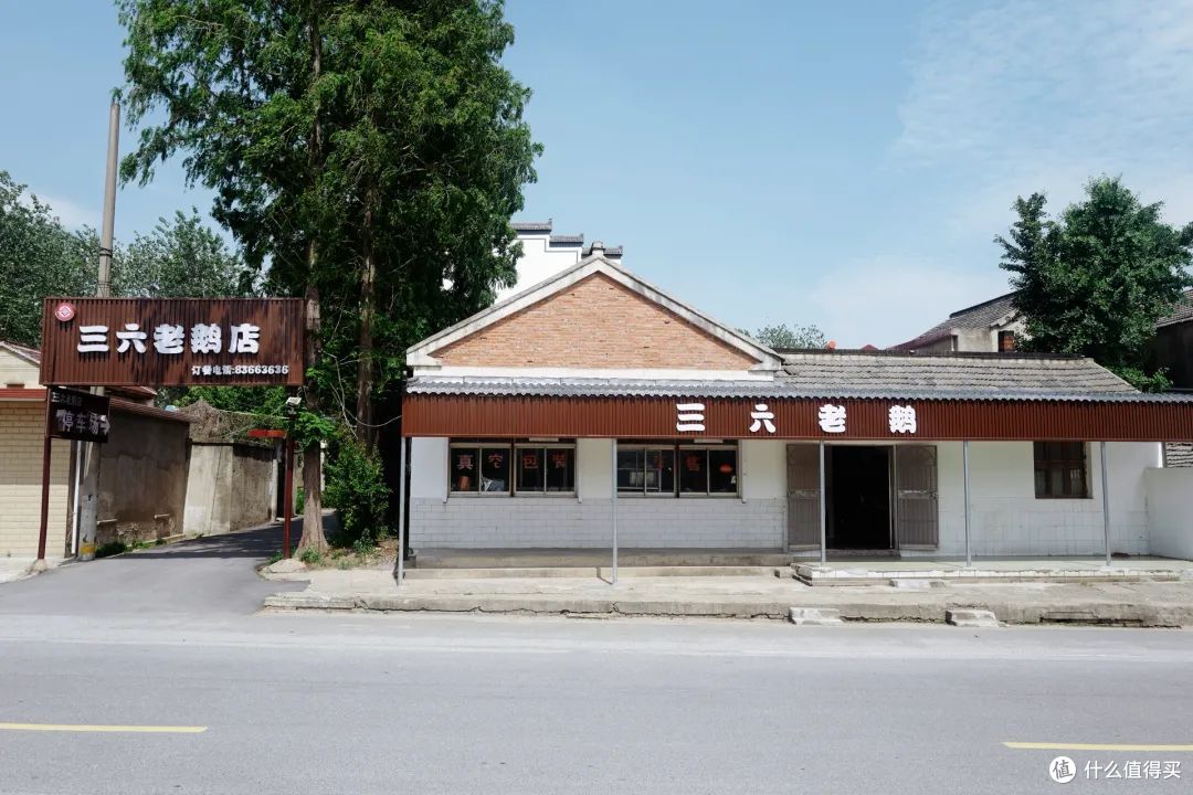 包邮区这座小县城真安逸!包场看大熊猫,百年早茶老店,越挖越有