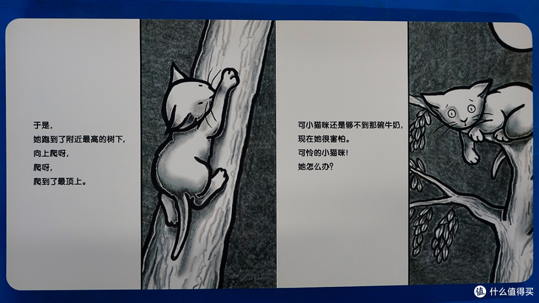 绘本《小猫咪追月亮》