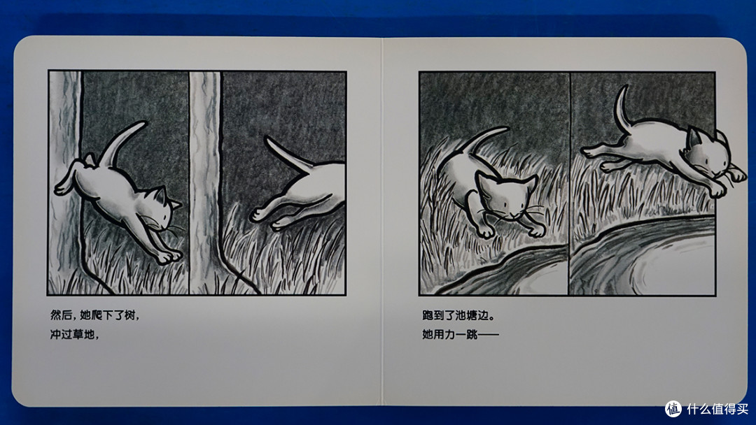 绘本《小猫咪追月亮》