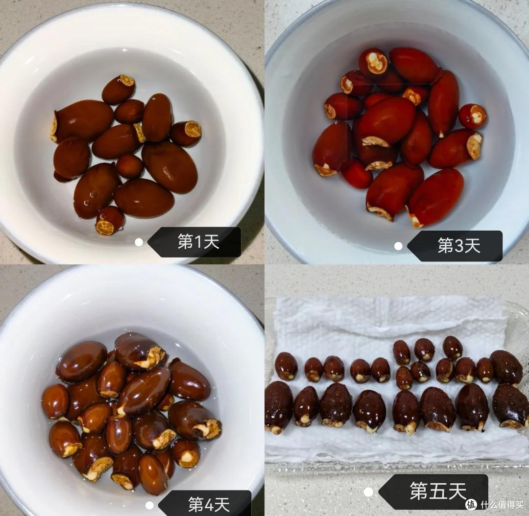 被荔枝核的“杀伤力”惊到了，在水里泡22天，长成超美“粉盆栽”