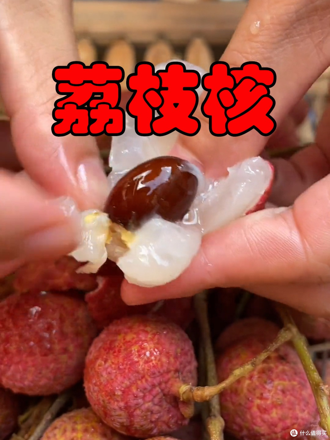 被荔枝核的“杀伤力”惊到了，在水里泡22天，长成超美“粉盆栽”