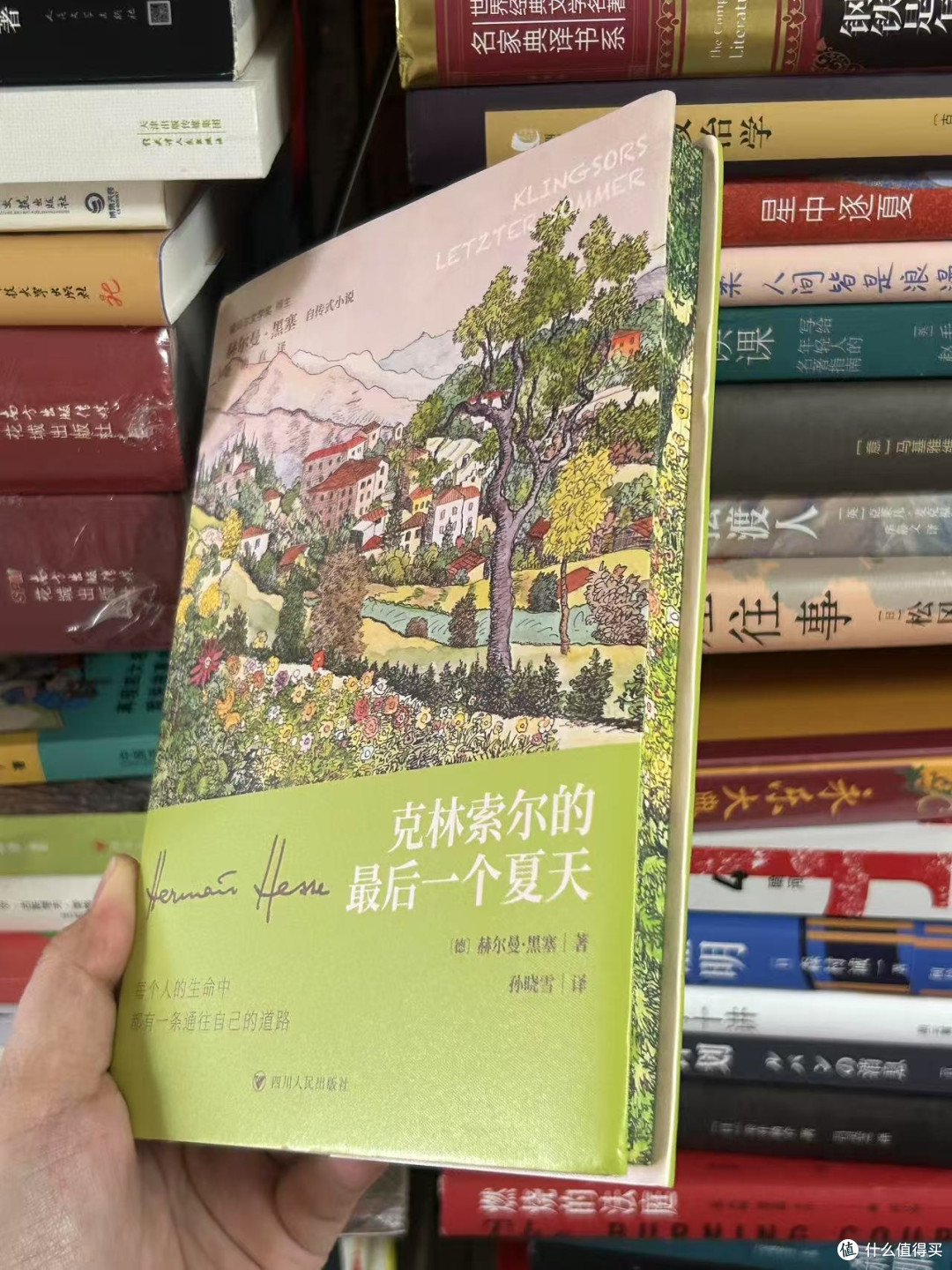夏天必看的小说
