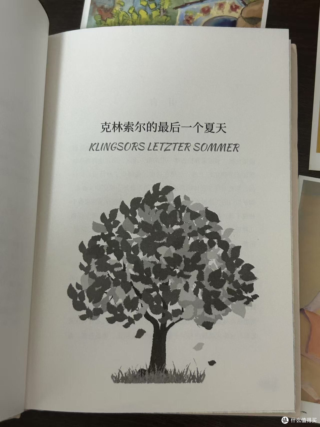 夏天必看的小说