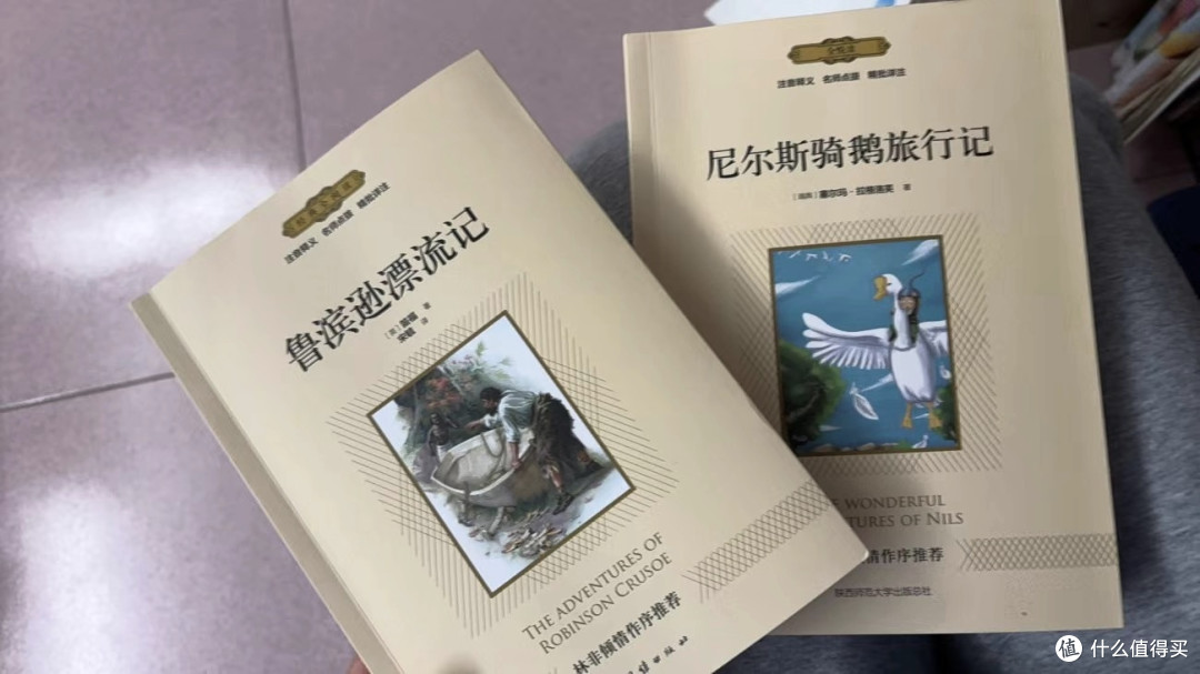 走进《鲁滨逊漂流记》:探寻生命的韧性与智慧之光