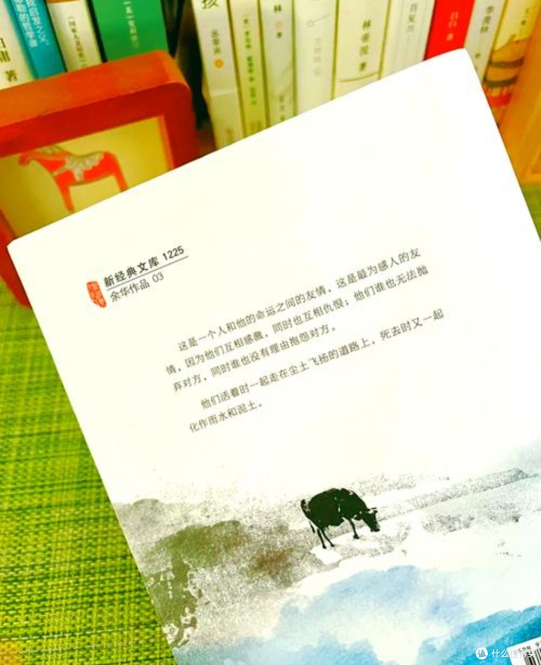 于《活着》中,品悟生命真谛