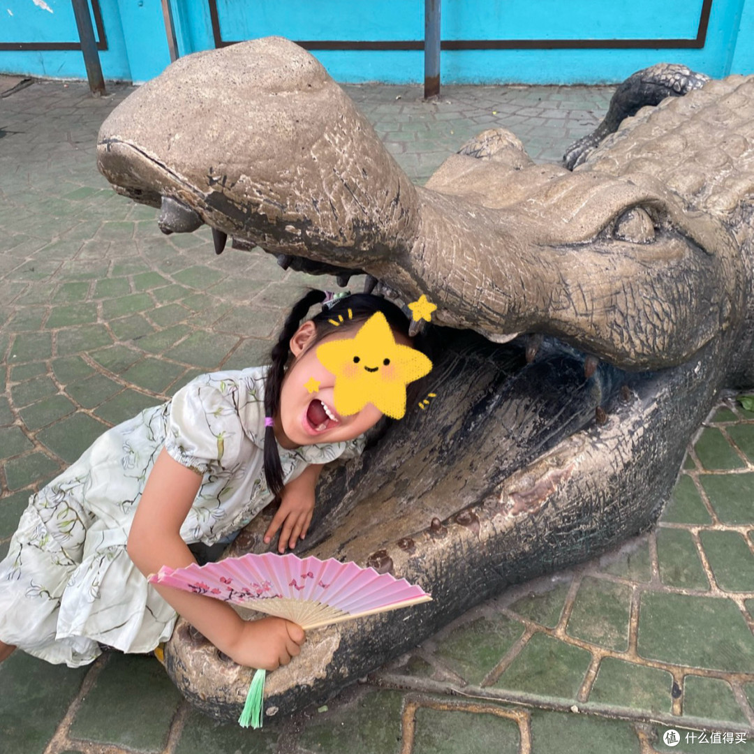 追寻黑白动物马来貘-马来西亚太平动物园