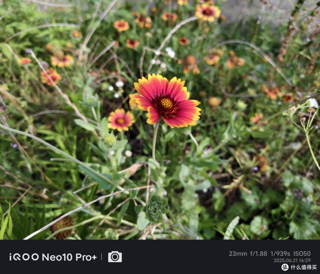 骁龙8至尊版强在哪里？以iQOO Neo10 Pro+为例的多维度解析