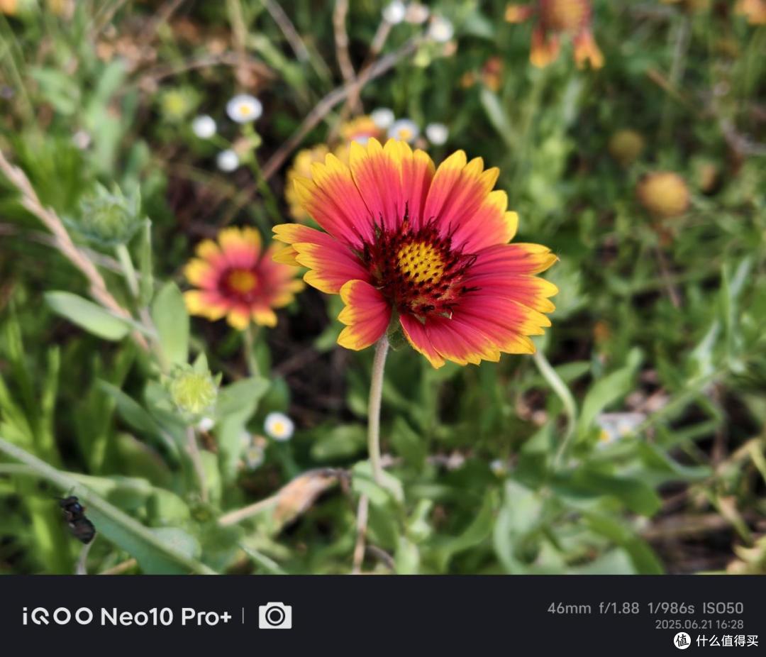 骁龙8至尊版强在哪里？以iQOO Neo10 Pro+为例的多维度解析