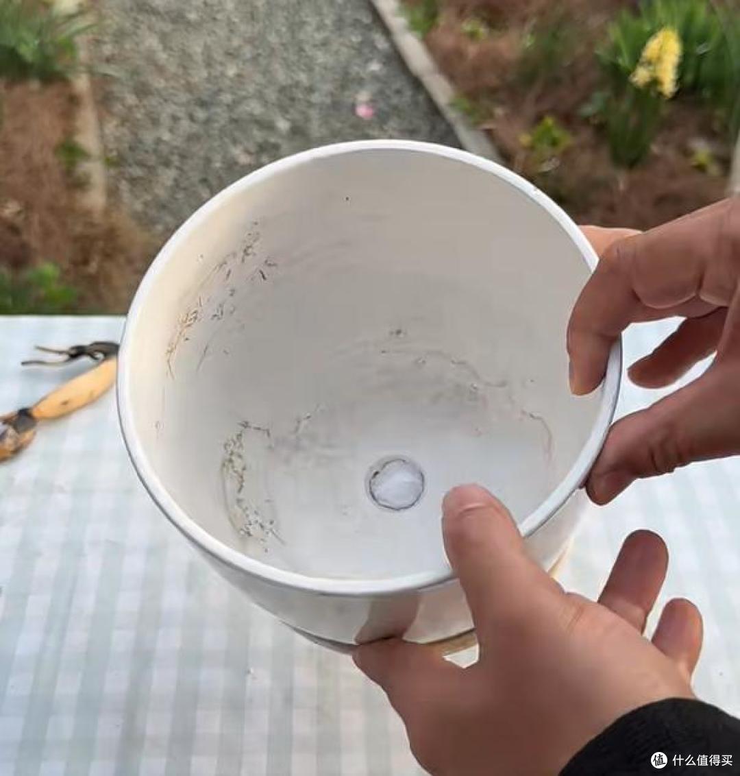 湛江一女子,因“骑车卖荷花”火了,一半生活一半浪漫,太治愈了
