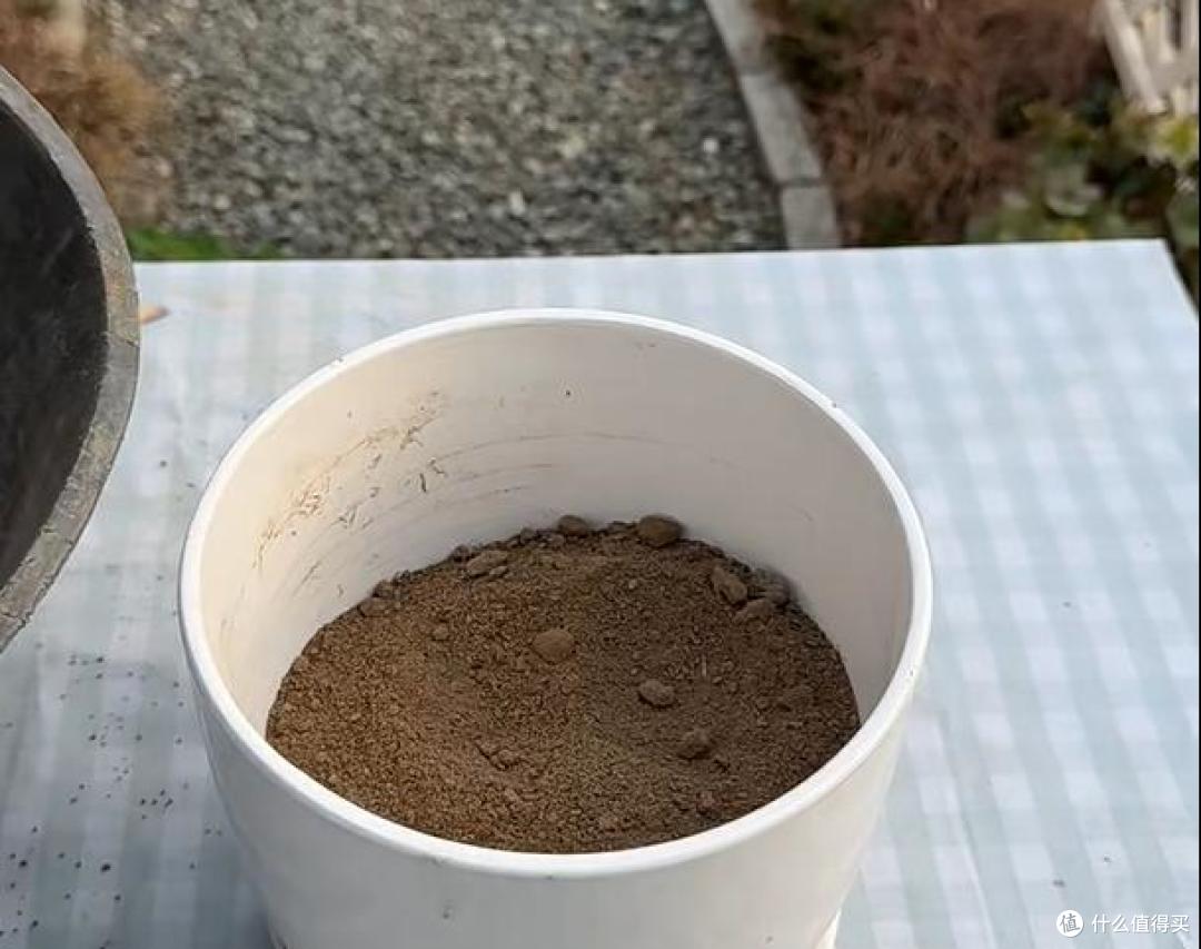 湛江一女子,因“骑车卖荷花”火了,一半生活一半浪漫,太治愈了