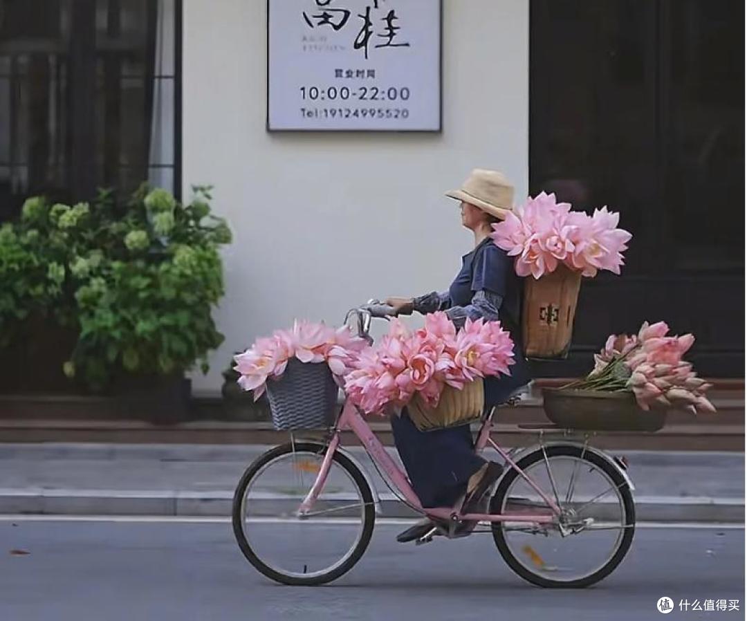 湛江一女子,因“骑车卖荷花”火了,一半生活一半浪漫,太治愈了