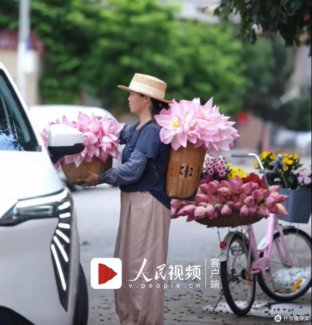 湛江一女子,因“骑车卖荷花”火了,一半生活一半浪漫,太治愈了