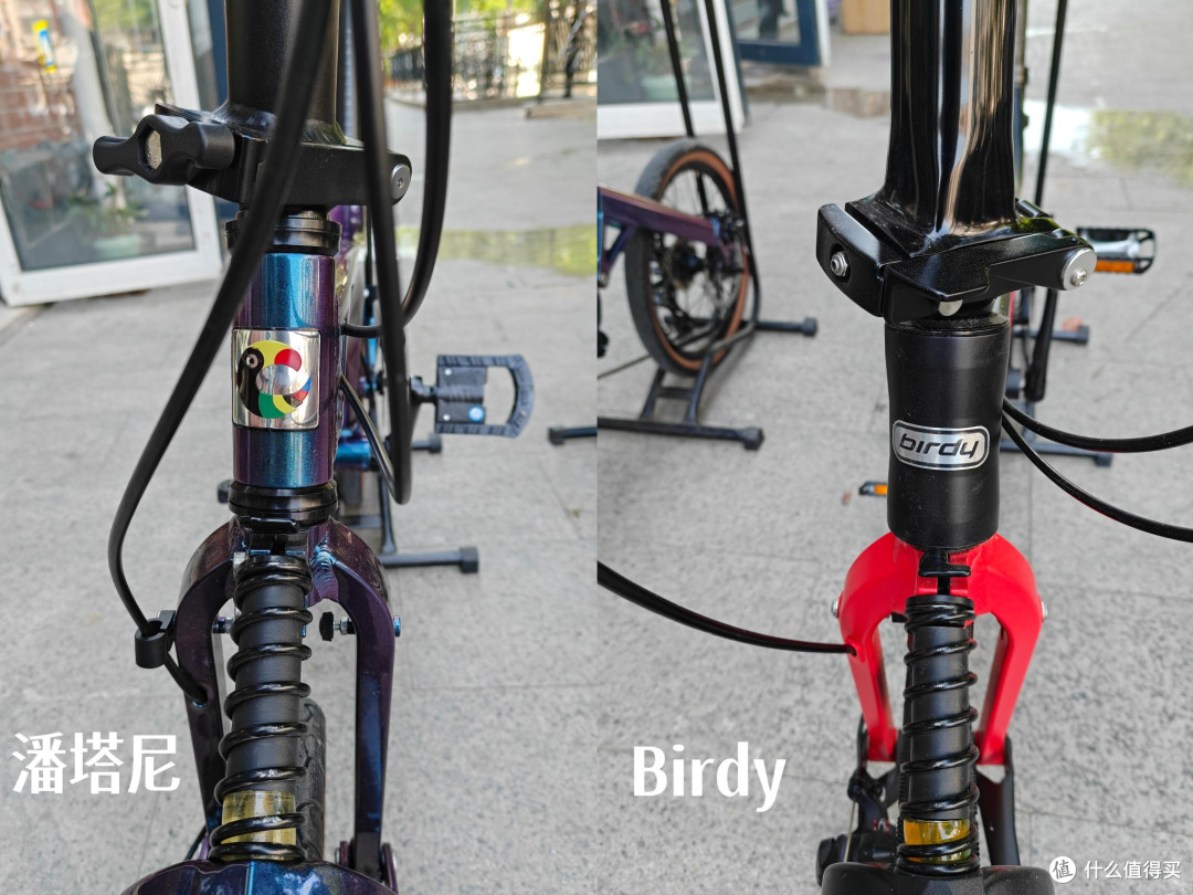 6k + 潘塔尼鹦鹉 VS 1.5w 原版 Birdy!值不值看这篇