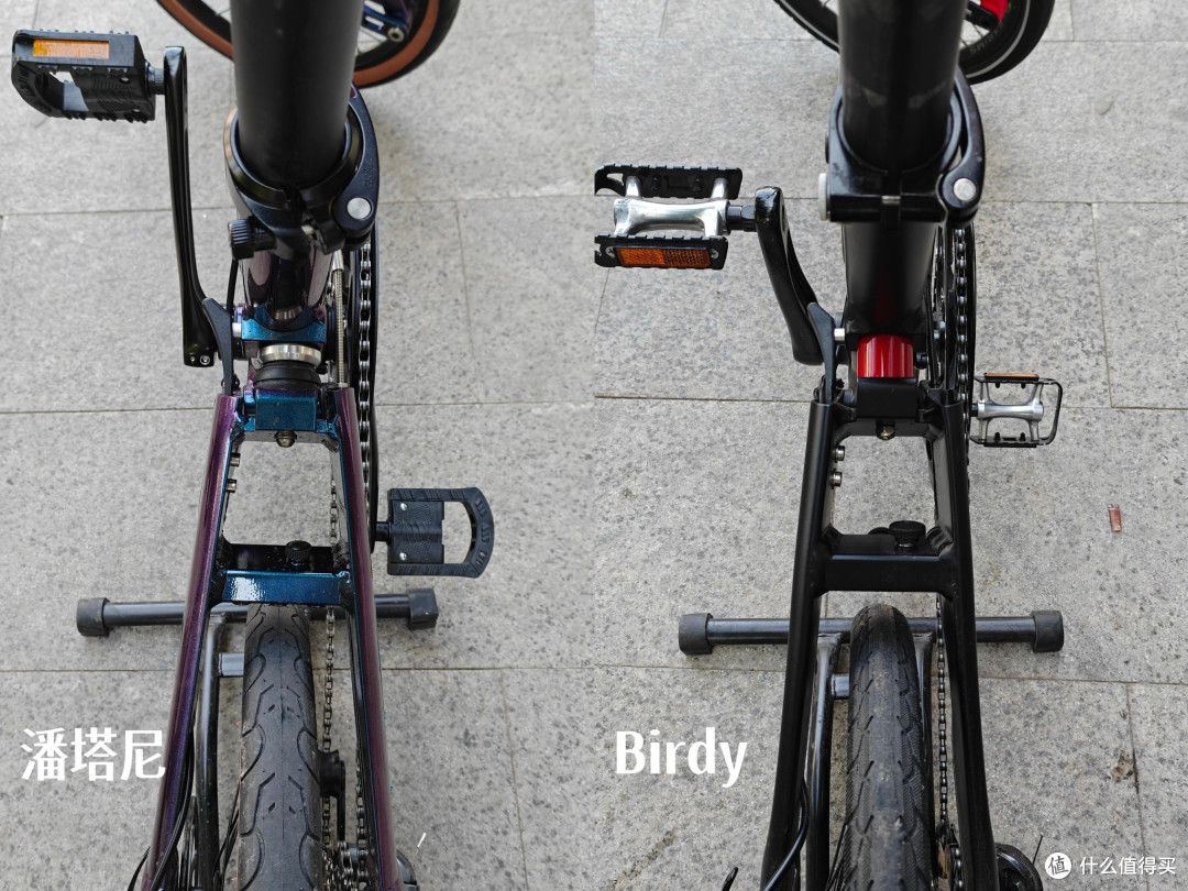6k + 潘塔尼鹦鹉 VS 1.5w 原版 Birdy!值不值看这篇