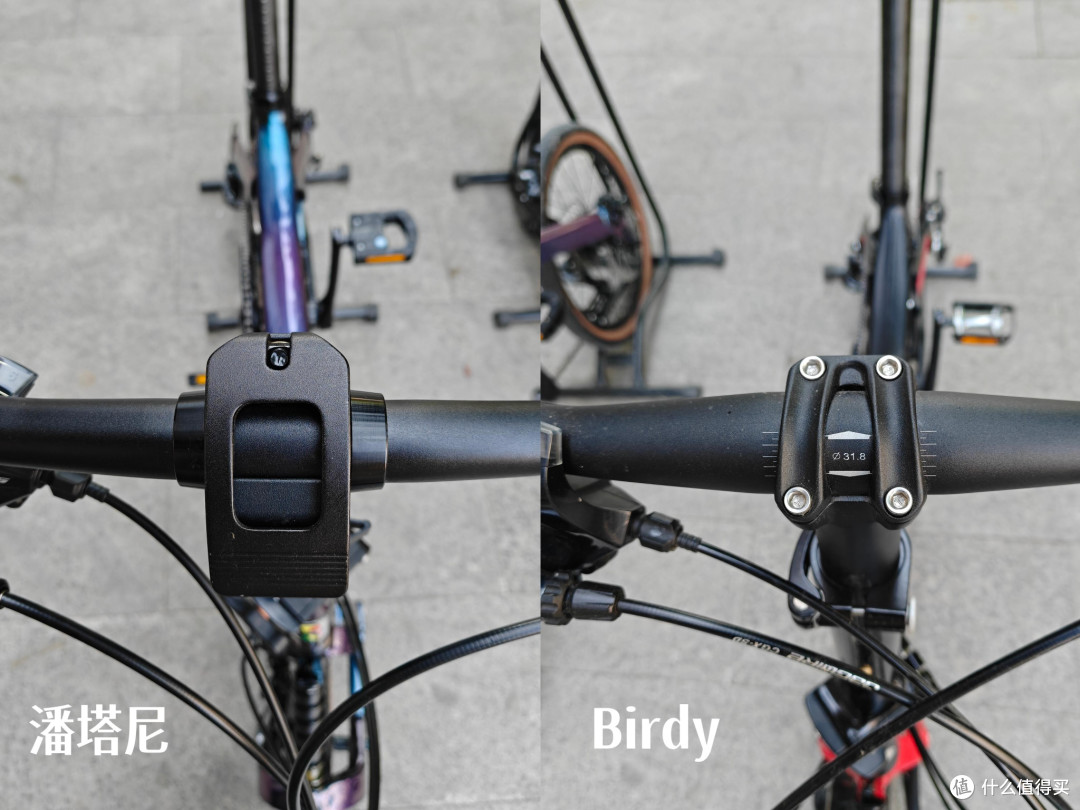 6k + 潘塔尼鹦鹉 VS 1.5w 原版 Birdy!值不值看这篇