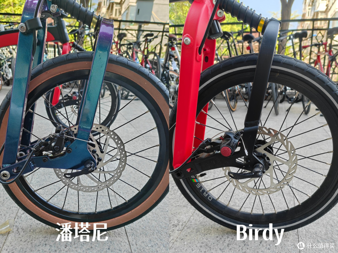 6k + 潘塔尼鹦鹉 VS 1.5w 原版 Birdy!值不值看这篇