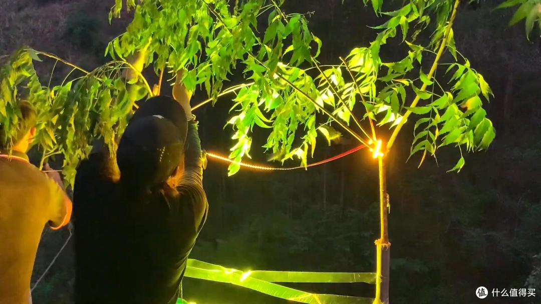 云南人抓知了的奇特方法,自制工具太高效了,20多分钟抓一大袋子