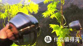 云南人抓知了的奇特方法,自制工具太高效了,20多分钟抓一大袋子