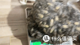 云南人抓知了的奇特方法,自制工具太高效了,20多分钟抓一大袋子