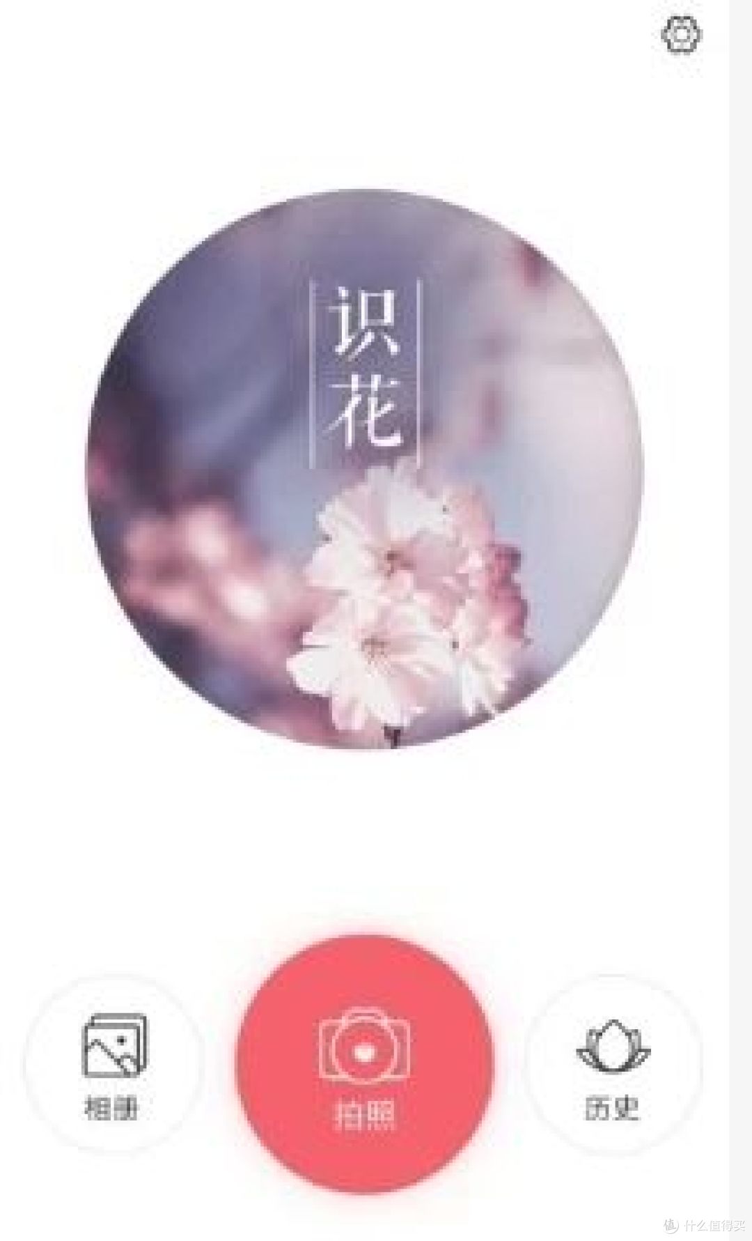 识花app