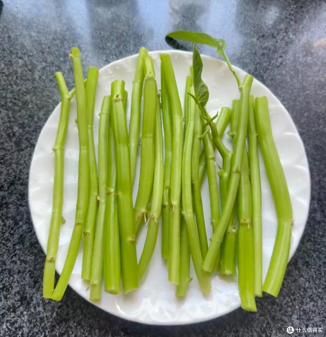 我妈真牛!用塑料瓶“水培空心菜”,种1次吃6个月,赚大发了~