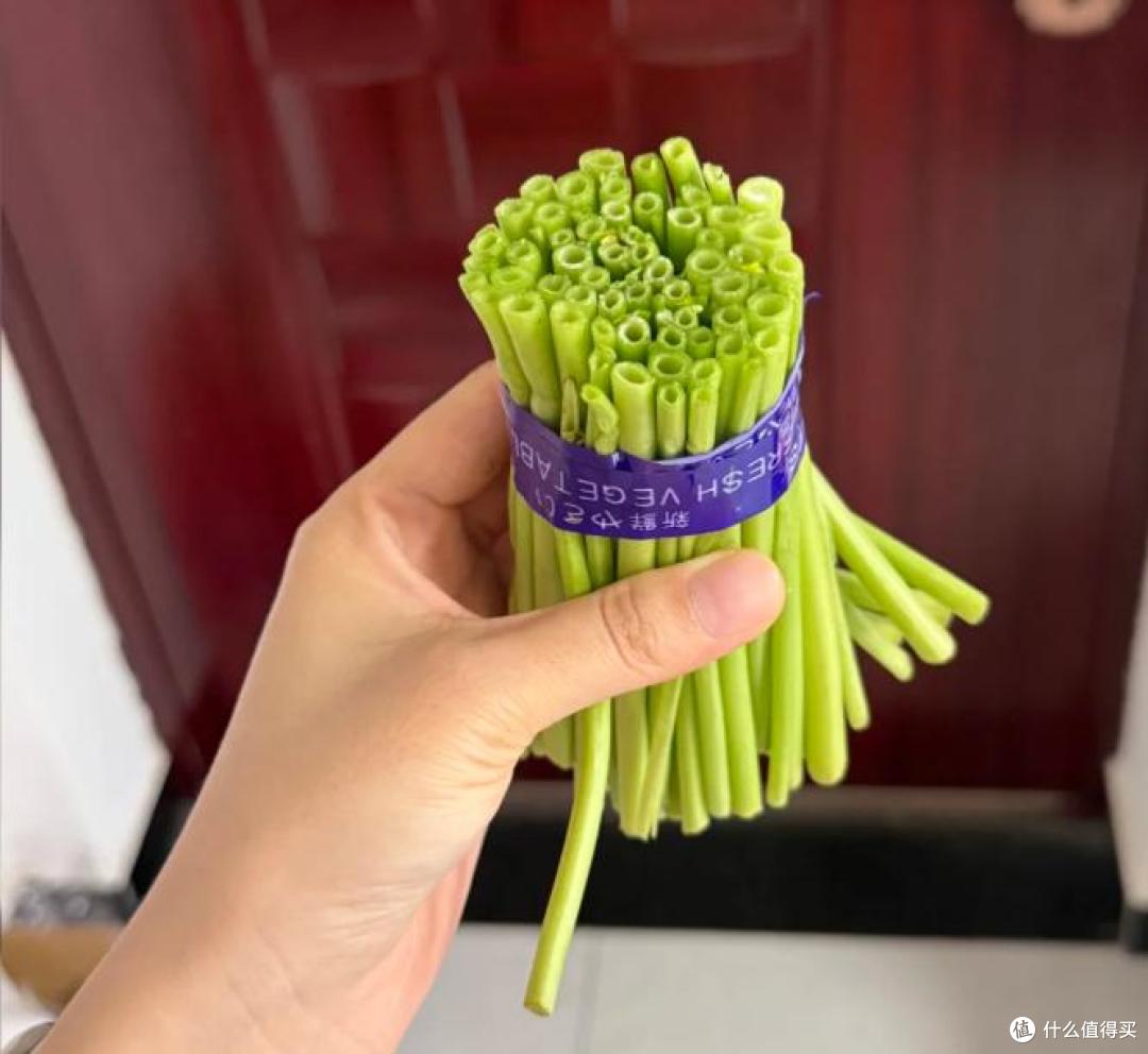 我妈真牛!用塑料瓶“水培空心菜”,种1次吃6个月,赚大发了~