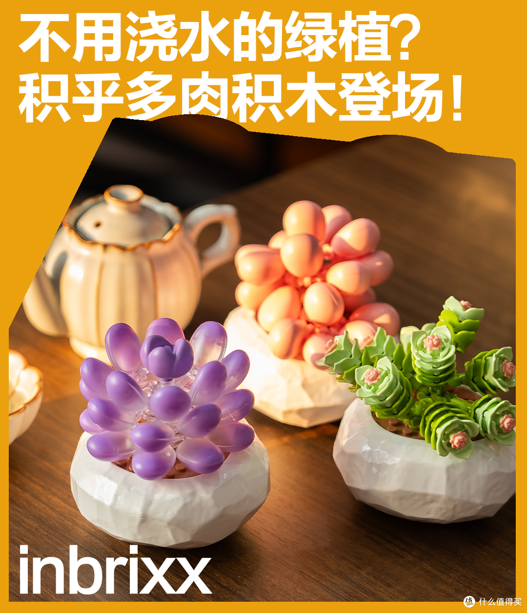 真多肉也太难搞?试试“拼”出来的绿意,零压力治愈系!
