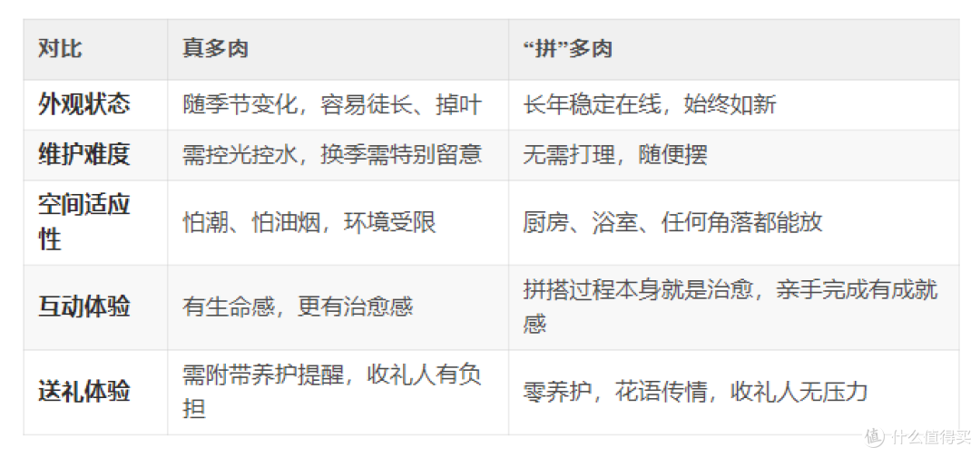 真多肉也太难搞?试试“拼”出来的绿意,零压力治愈系!