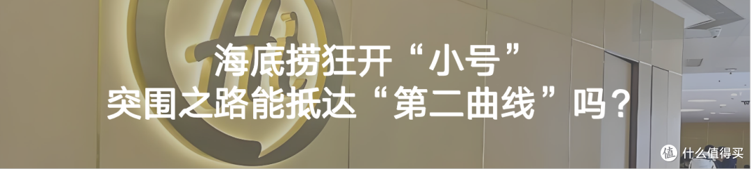 “消费降级”寒潮之中，小米YU7却火爆销售了28.9万单