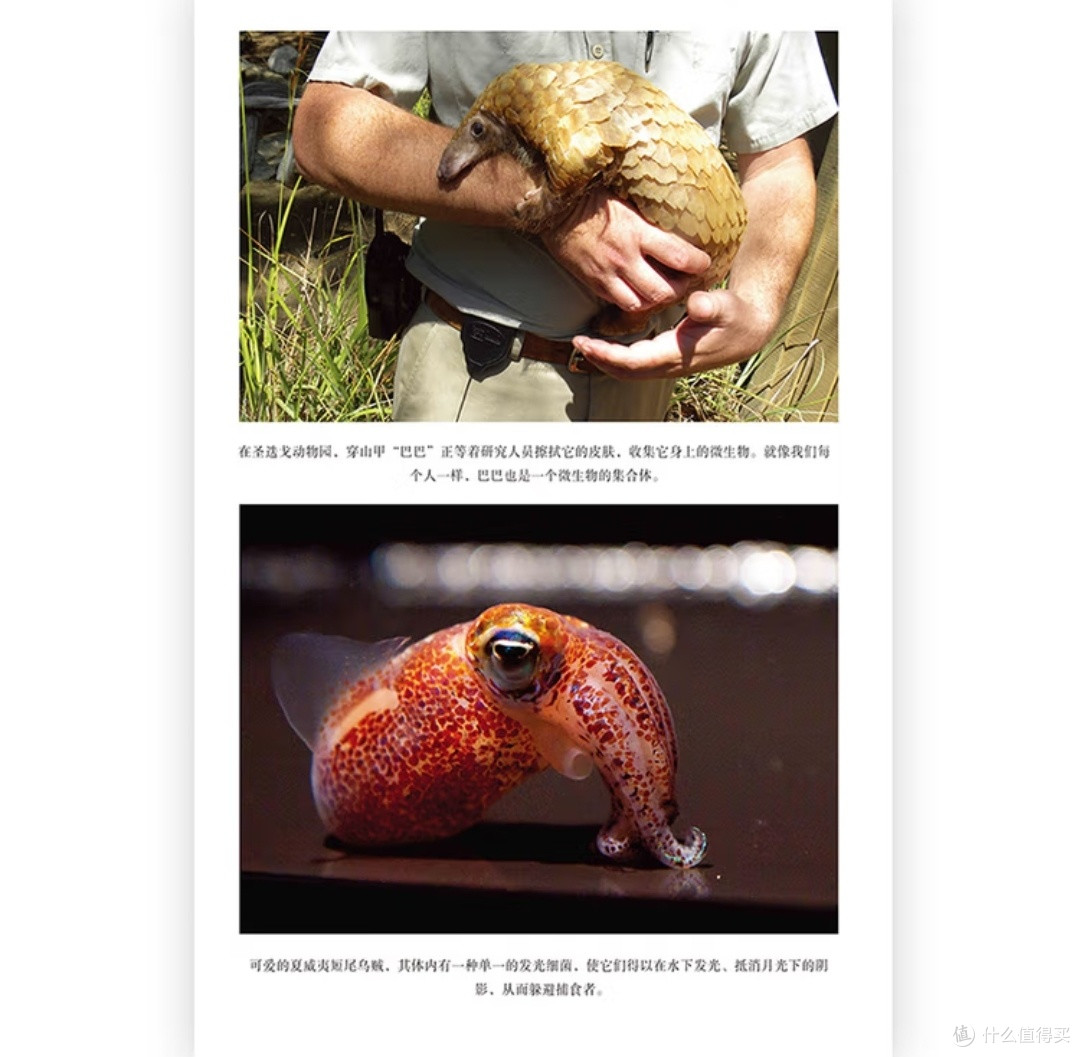 微生物的隐秘王国:我们从未独自存在