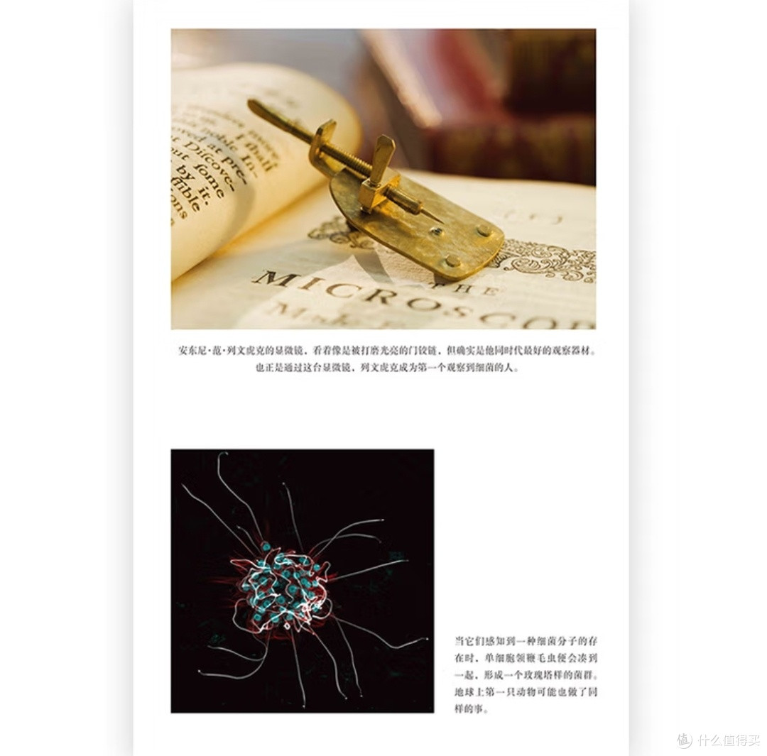微生物的隐秘王国:我们从未独自存在