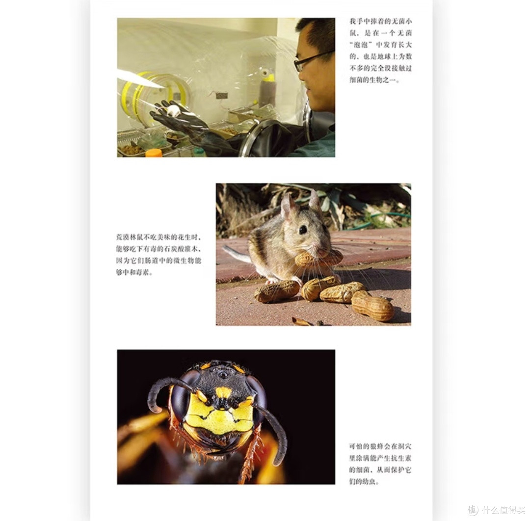 微生物的隐秘王国:我们从未独自存在
