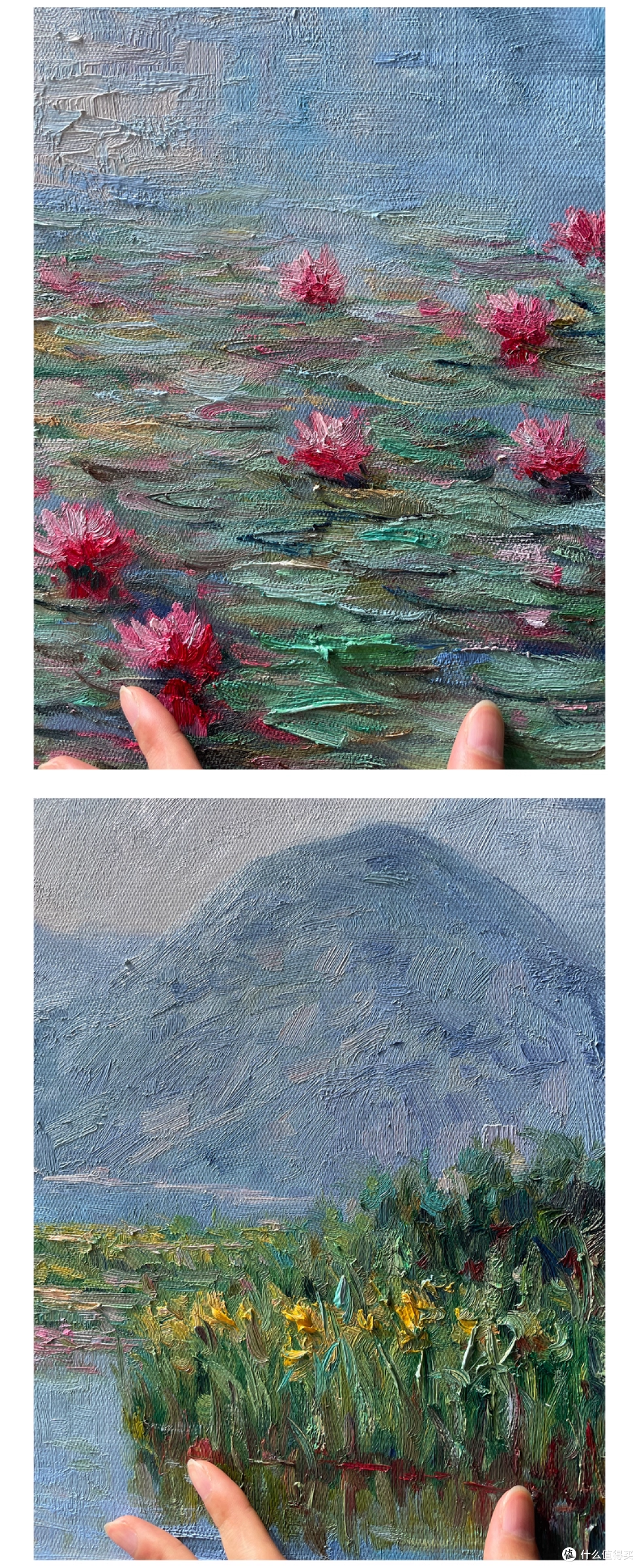 《初夏睡莲》:梁问笔下的水中诗境,绽放灵魂深处的静谧
