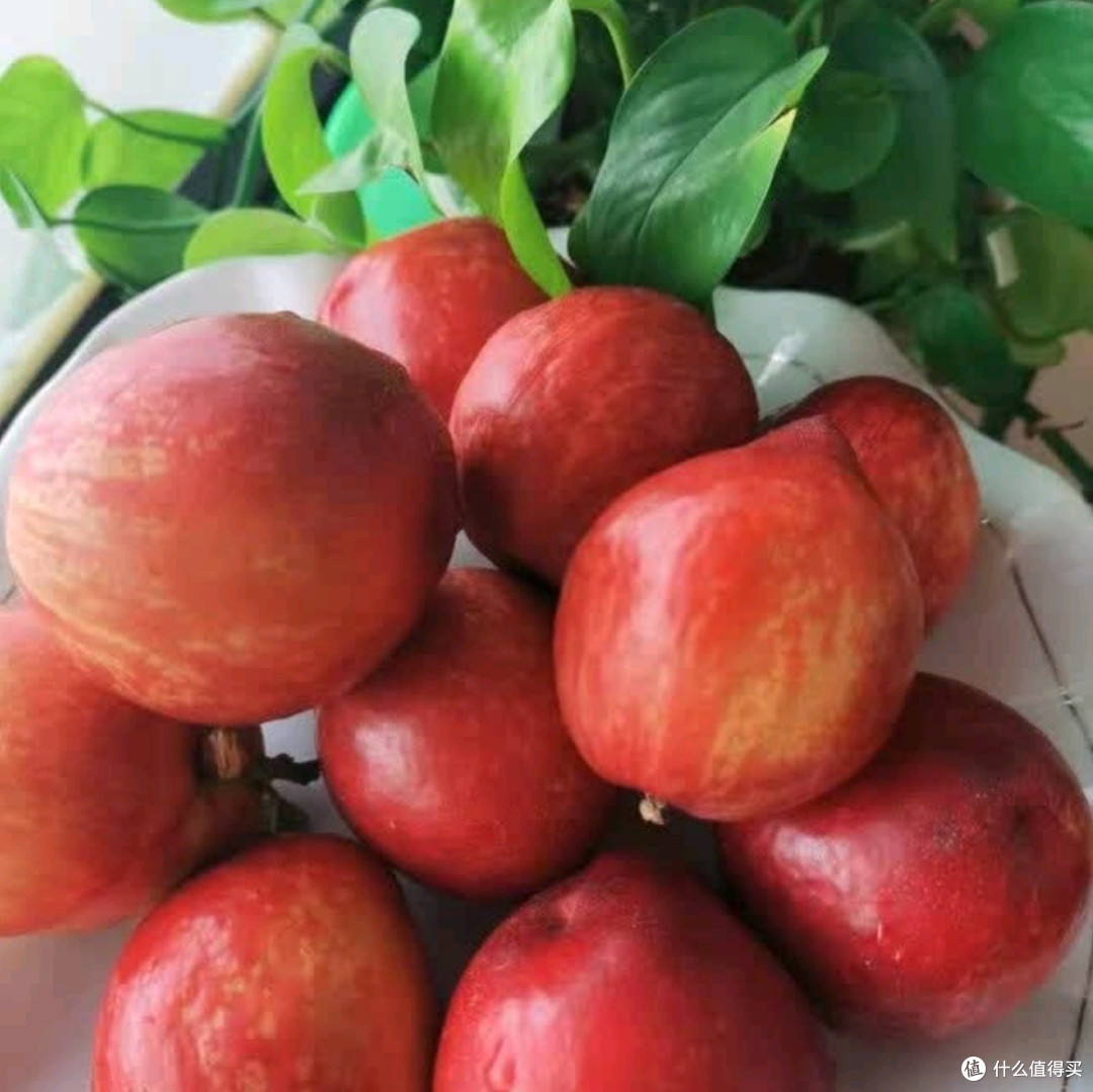 京鲜生水蜜桃测评:夏日里的甜蜜暴击