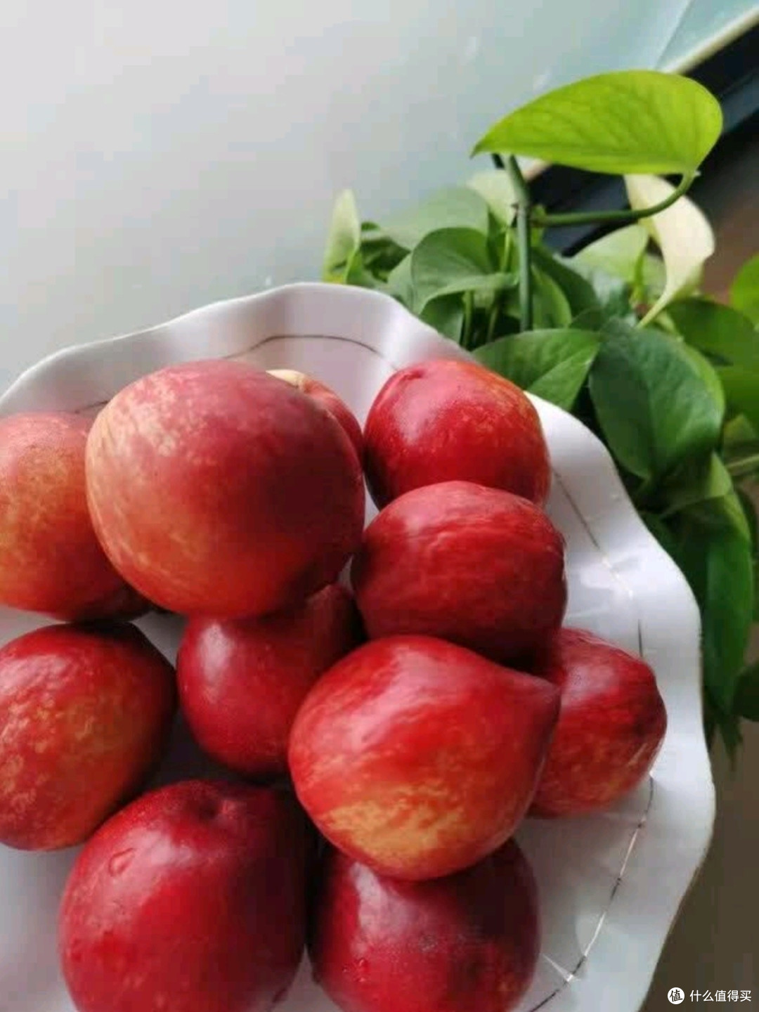 京鲜生水蜜桃测评:夏日里的甜蜜暴击