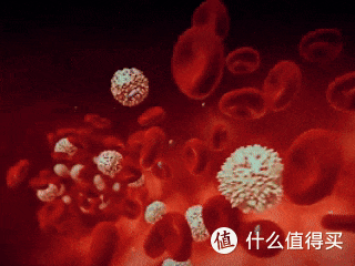 米油米汤是补「津液」神水?能不能放过中医!