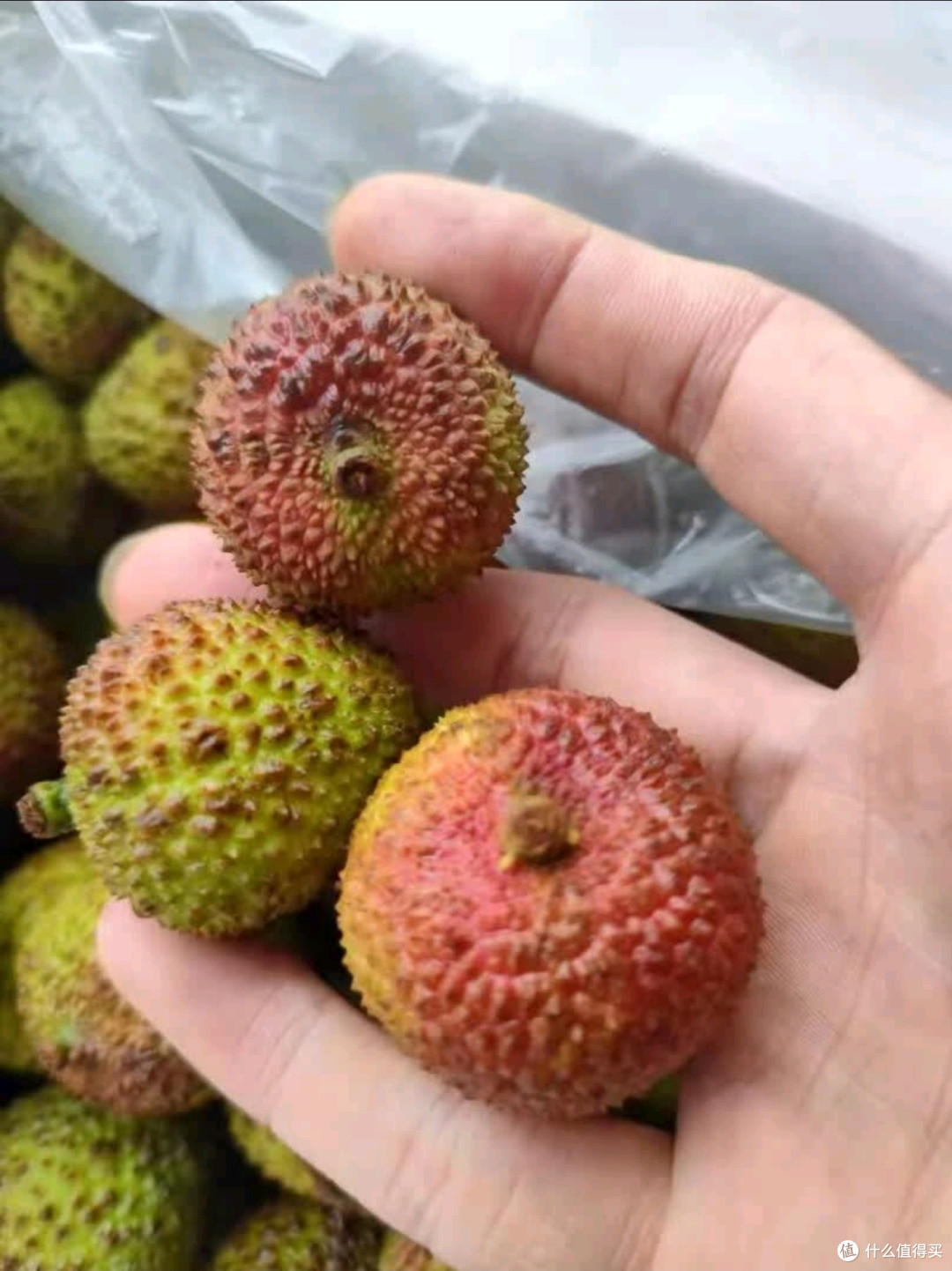 荔枝的种类和好处~~