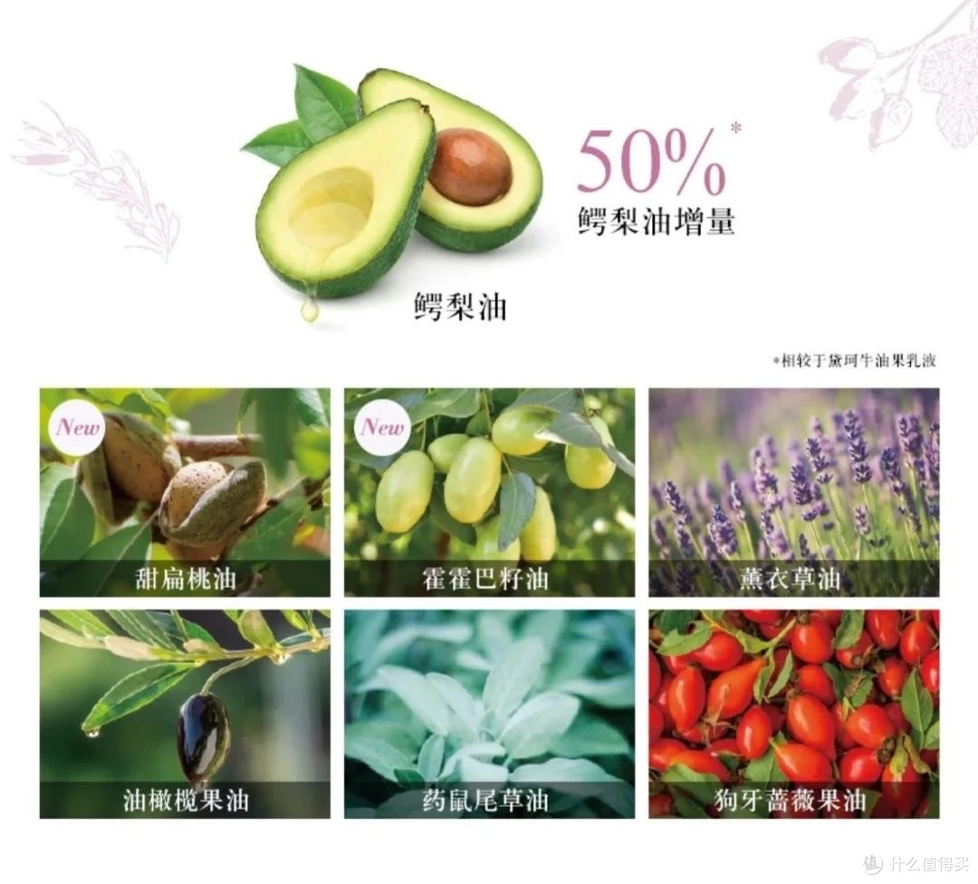 混油皮夏季护肤新宠:黛珂紫苏水+牛油果乳