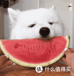 只会抱勺挖？ 亏大啦！解锁西瓜隐藏吃法大全，这个夏天爽到飞起