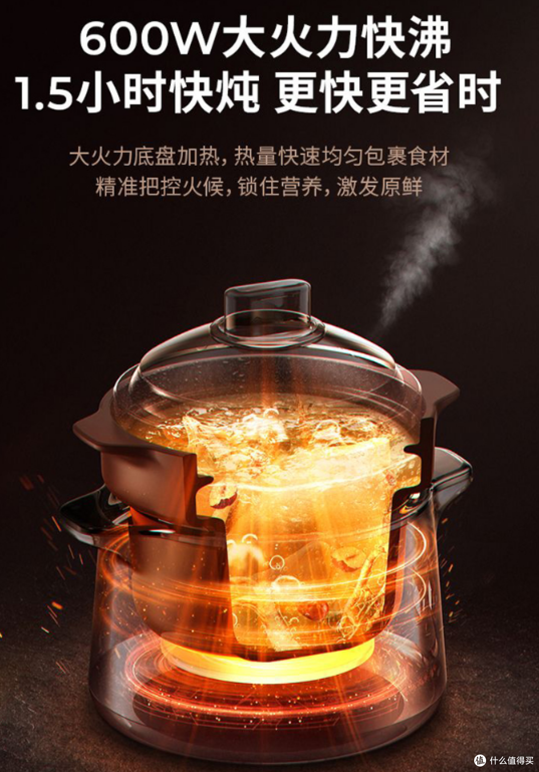 九阳 DG50Z - GD992 多功能电炖锅:生活中的美味助手