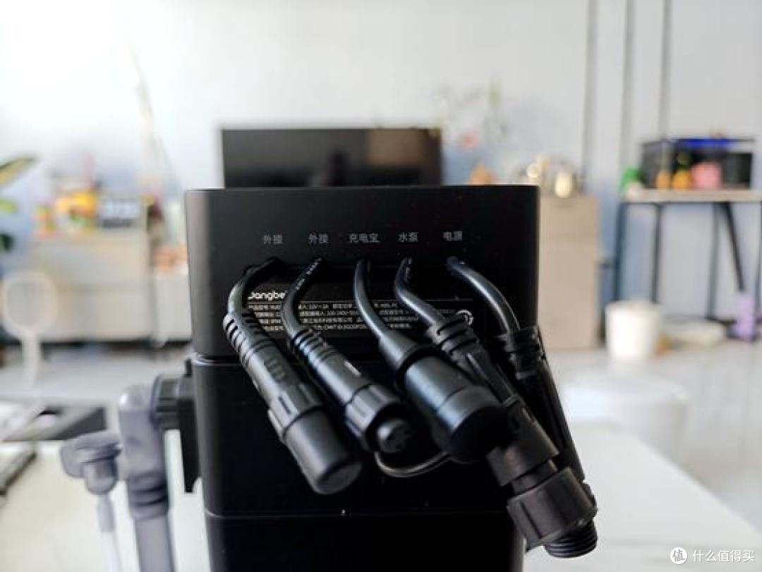科技赋能,打造极致水族体验,当贝鱼缸过滤器N1 800AI助你养鱼无忧