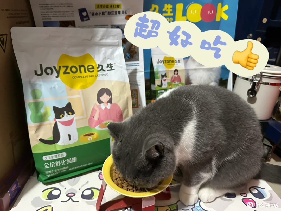 超过60年历史的猫粮工艺出现技术革新！猫咪脆弱肠胃终于有解了！